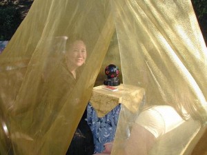 Zelda says the bearer of questions is also the bearer of answers